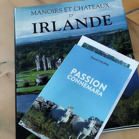 Maison De Campagne Au Coeur D'Un Elevage De Poneys Connemara Le Landreau Exterior foto